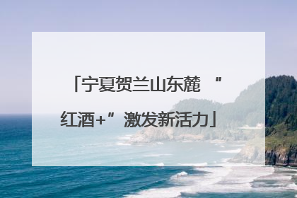宁夏贺兰山东麓 “红酒+”激发新活力