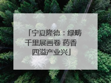 宁夏隆德：绿畴千里展画卷 药香四溢产业兴