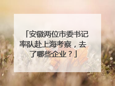 安徽两位市委书记率队赴上海考察，去了哪些企业？