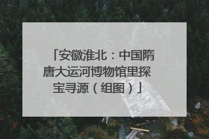 安徽淮北：中国隋唐大运河博物馆里探宝寻源（组图）