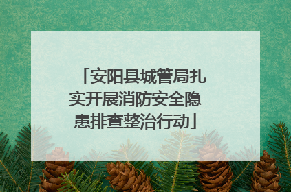安阳县城管局扎实开展消防安全隐患排查整治行动