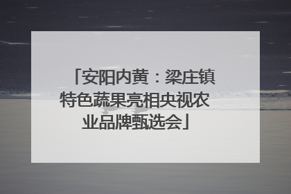 安阳内黄：梁庄镇特色蔬果亮相央视农业品牌甄选会