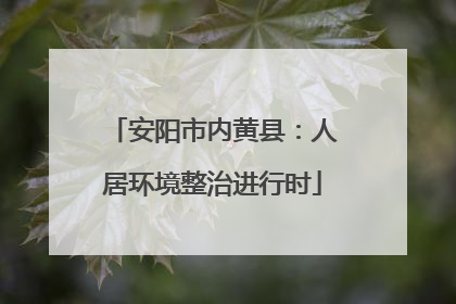 安阳市内黄县：人居环境整治进行时