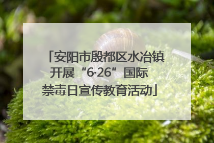 安阳市殷都区水冶镇开展“6·26”国际禁毒日宣传教育活动