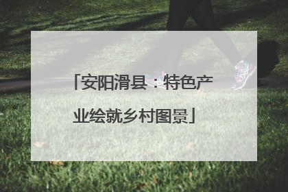 安阳滑县：特色产业绘就乡村图景