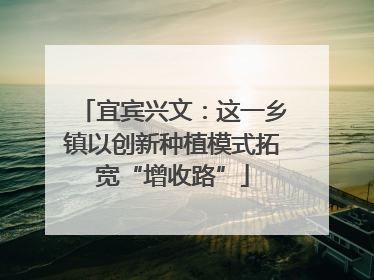 宜宾兴文：这一乡镇以创新种植模式拓宽“增收路”