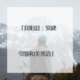 宜阳县：党建引领和美善治