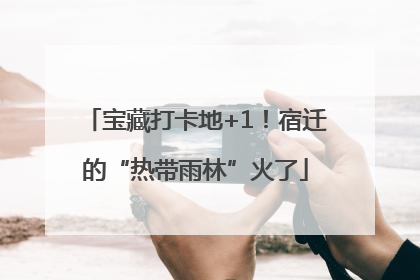 宝藏打卡地+1！宿迁的“热带雨林”火了