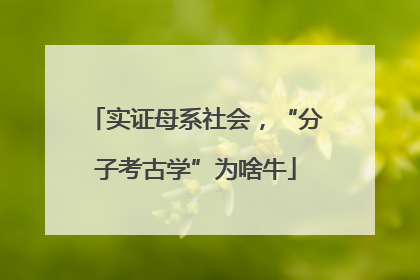 实证母系社会，“分子考古学”为啥牛