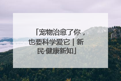 宠物治愈了你，也要科学爱它｜新民·健康新知