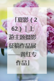 夏影（262）｜上游主题摄影征稿作品展——黄红专作品