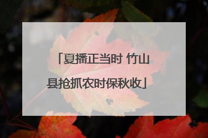 夏播正当时 竹山县抢抓农时保秋收