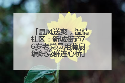 夏风送爽，温情社区：新城街道76岁老党员用蒲扇编织党群连心桥