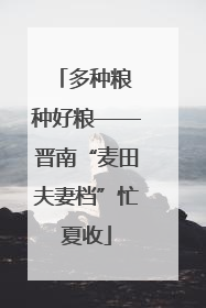 多种粮 种好粮——晋南“麦田夫妻档”忙夏收