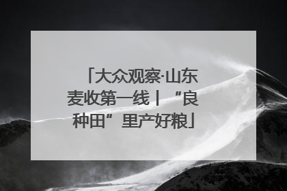 大众观察·山东麦收第一线丨“良种田”里产好粮