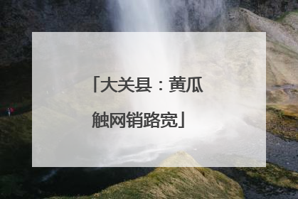 大关县：黄瓜触网销路宽