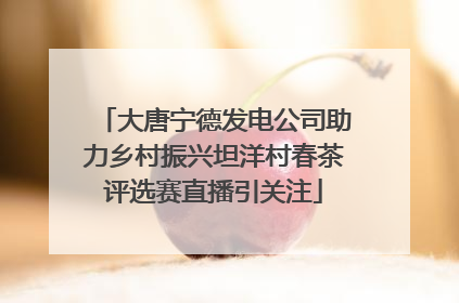 大唐宁德发电公司助力乡村振兴坦洋村春茶评选赛直播引关注