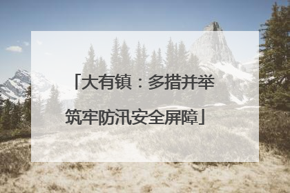 大有镇：多措并举筑牢防汛安全屏障