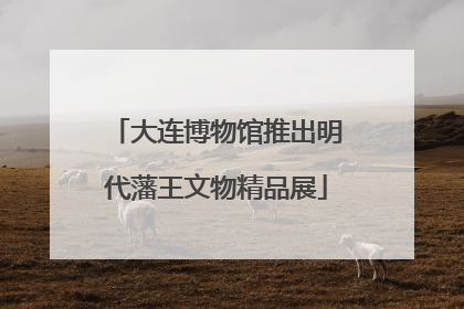 大连博物馆推出明代藩王文物精品展