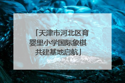 天津市河北区育婴里小学国际象棋共建基地启航