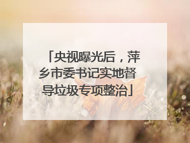 央视曝光后，萍乡市委书记实地督导垃圾专项整治