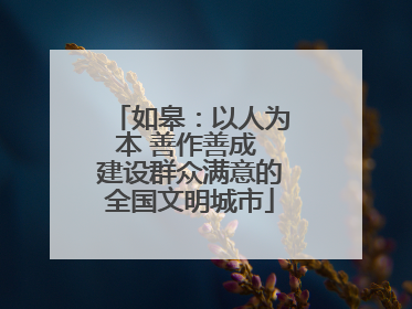 如皋：以人为本 善作善成 建设群众满意的全国文明城市