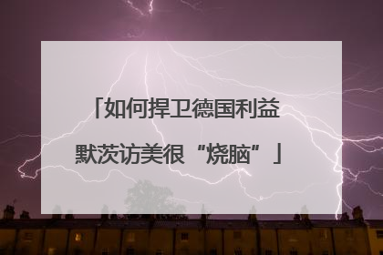 如何捍卫德国利益 默茨访美很“烧脑”