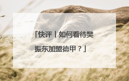 快评丨如何看待樊振东加盟德甲？