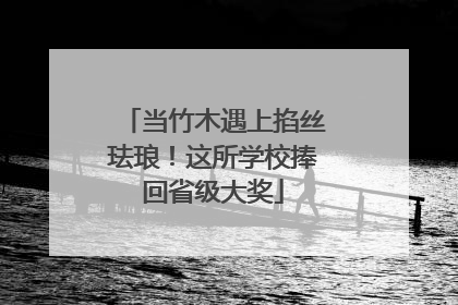 当竹木遇上掐丝珐琅！这所学校捧回省级大奖