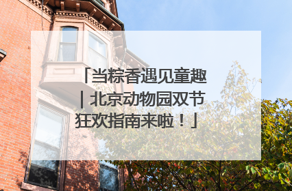 当粽香遇见童趣｜北京动物园双节狂欢指南来啦！