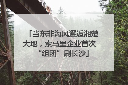 当东非海风邂逅湘楚大地，索马里企业首次“组团”刷长沙