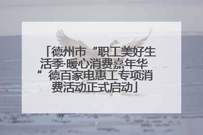德州市“职工美好生活季·暖心消费嘉年华”德百家电惠工专项消费活动正式启动