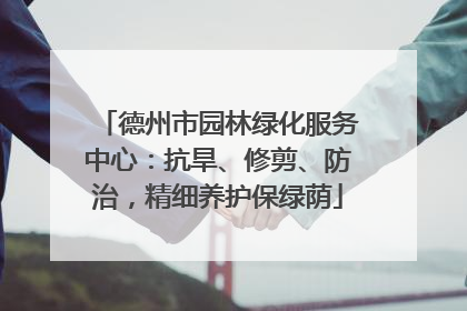 德州市园林绿化服务中心：抗旱、修剪、防治，精细养护保绿荫