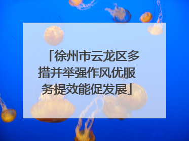 徐州市云龙区多措并举强作风优服务提效能促发展