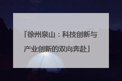 徐州泉山：科技创新与产业创新的双向奔赴