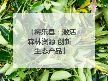 将乐县：激活森林资源 创新生态产品