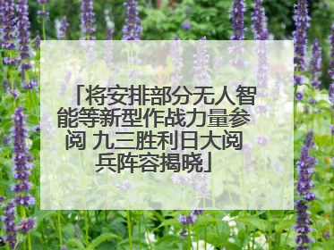 将安排部分无人智能等新型作战力量参阅 九三胜利日大阅兵阵容揭晓