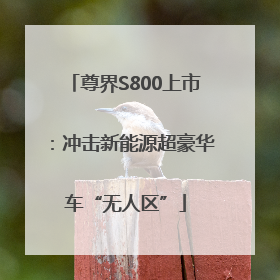 尊界S800上市：冲击新能源超豪华车“无人区”