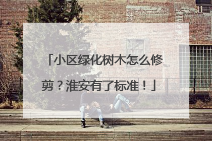 小区绿化树木怎么修剪？淮安有了标准！