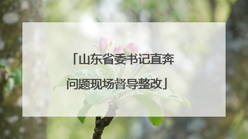 山东省委书记直奔问题现场督导整改
