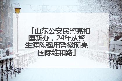 山东公安民警亮相国新办，24年从警生涯陈强用警徽照亮国际维和路