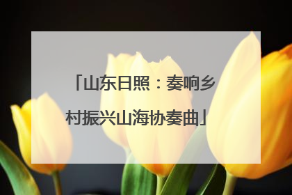 山东日照：奏响乡村振兴山海协奏曲