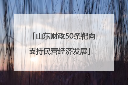 山东财政50条靶向支持民营经济发展