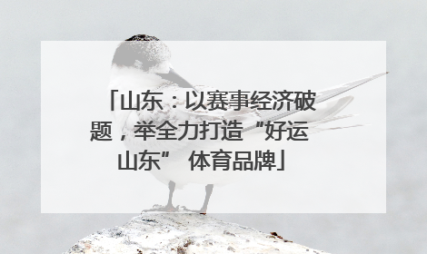 山东：以赛事经济破题，举全力打造“好运山东” 体育品牌