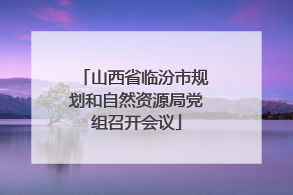 山西省临汾市规划和自然资源局党组召开会议