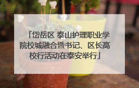 岱岳区 泰山护理职业学院校城融合暨书记、区长高校行活动在泰安举行