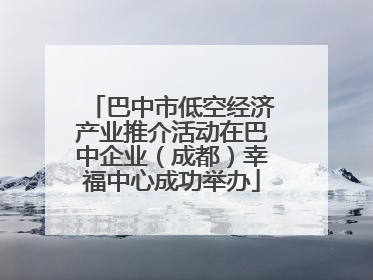 巴中市低空经济产业推介活动在巴中企业（成都）幸福中心成功举办