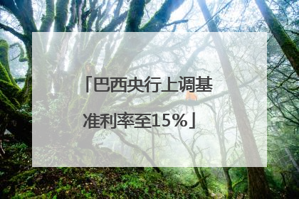 巴西央行上调基准利率至15％