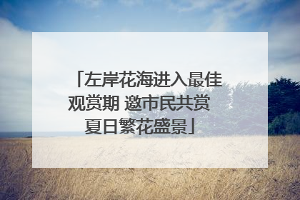 左岸花海进入最佳观赏期 邀市民共赏夏日繁花盛景