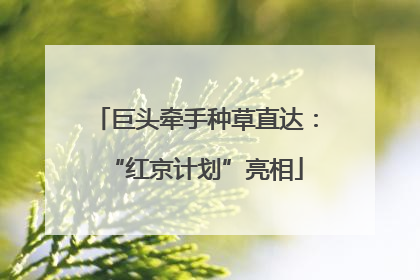 巨头牵手种草直达：“红京计划”亮相